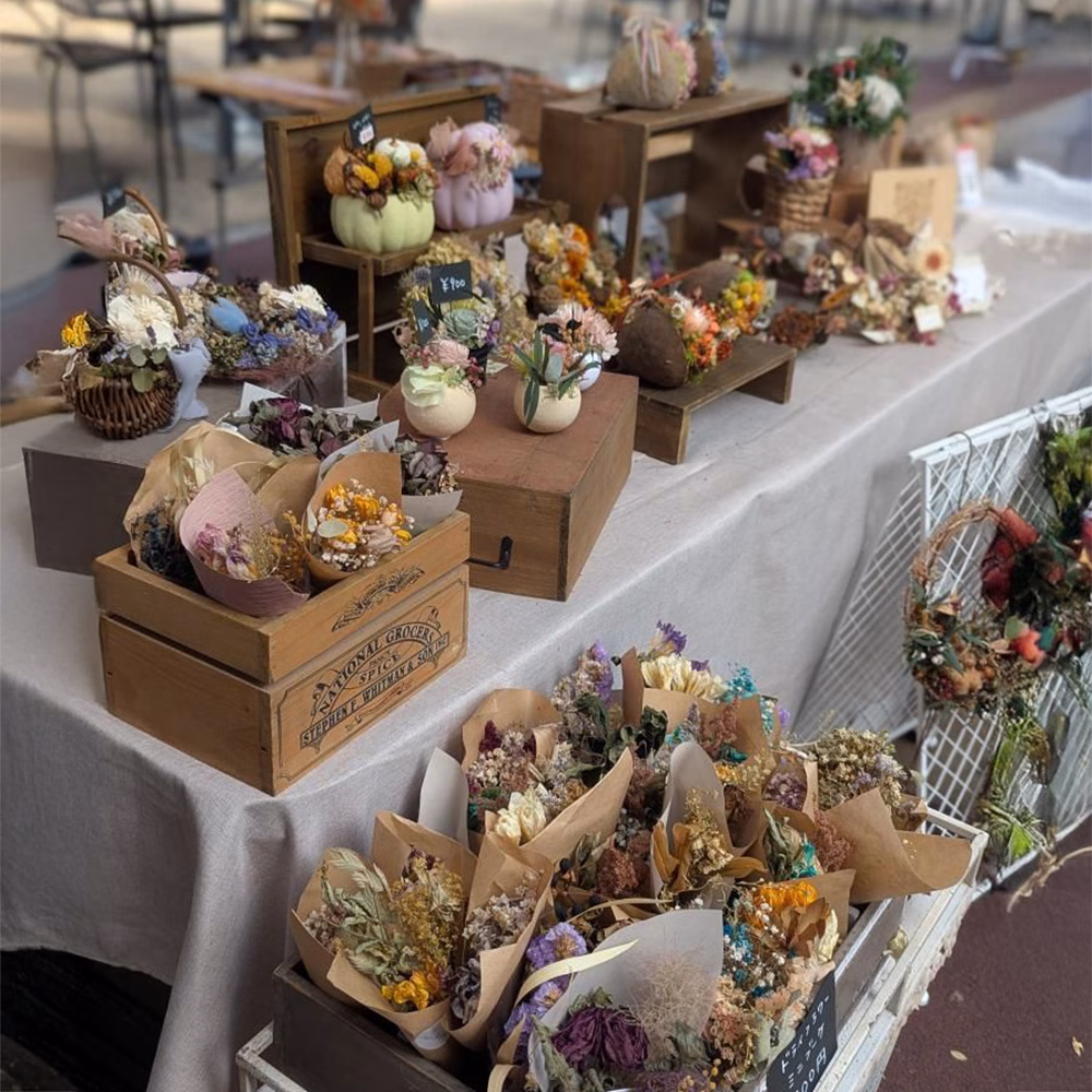 566648848_1478111746815058_2146171008791663632_n